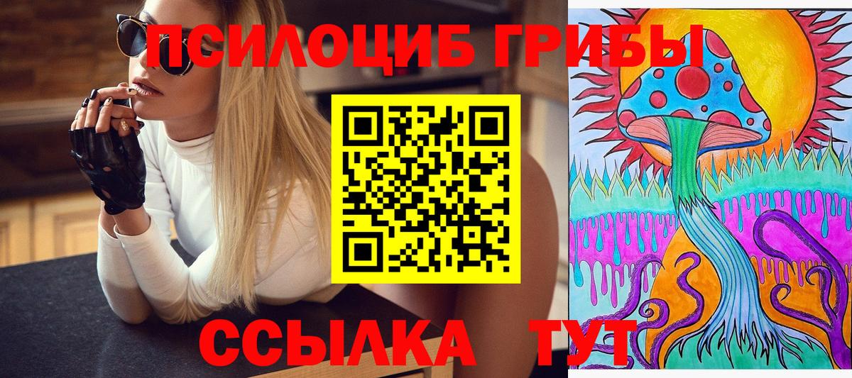 Псилоцибиновые грибы Magic Shrooms  Вход с VPN  Кизляр 